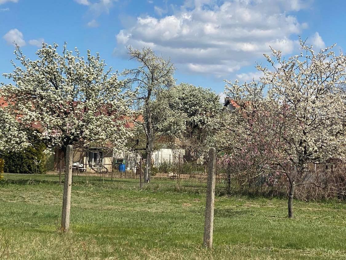 Prazdninovy Dum Sorada Villa Rohatec Kültér fotó